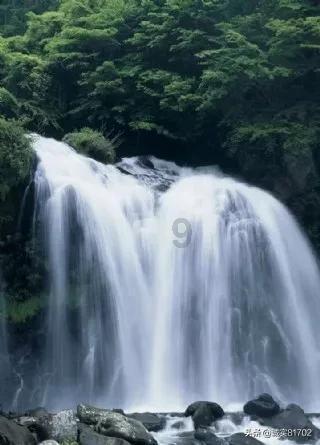 逗小猴开心系列181
